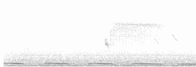 Калифорнийская кукушка-подорожник - ML321380301