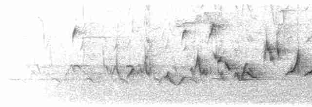 ML321483931 visualization