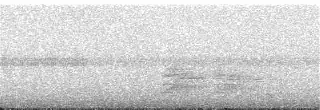 Thicket Tinamou - ML321485061