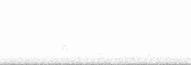 Eurasian Oystercatcher - ML321502051