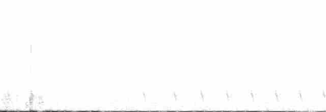 Gray Nightjar - ML321505101