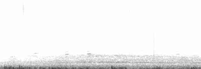 Graubrustcanastero - ML321561601