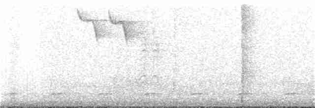 Spot-breasted Wren - ML321610361