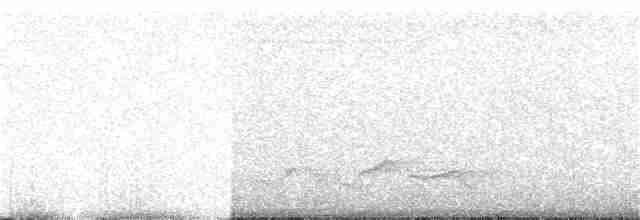 Şeritli Karıncaavcısı - ML321675551