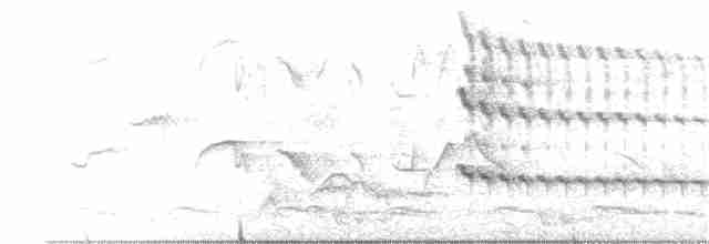 White-throated Kingfisher - ML321701601