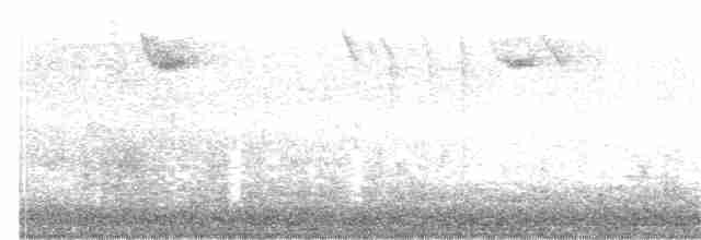 Трясогузковый певун - ML321824801