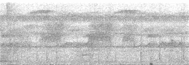 Мурав’янка рудогорла - ML321838761