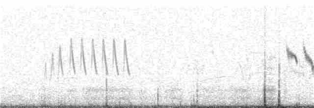 Singing Bushlark (Australasian) - ML321841751