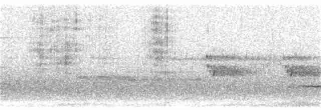 Дрізд-короткодзьоб плямистоволий - ML321906711