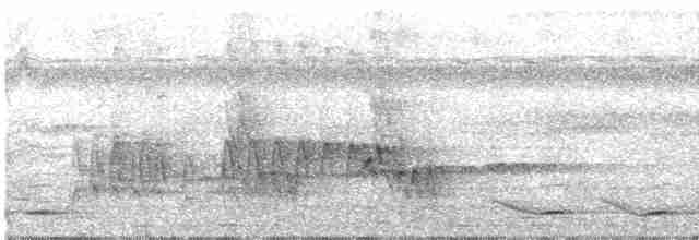 Kara Boğazlı Çalı Timalyası - ML321949751