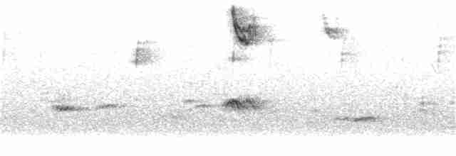 Sperlingsvogel, unbestimmt - ML321951421