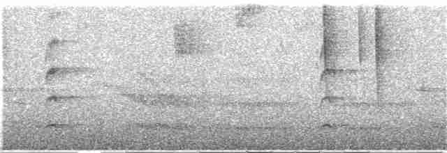 Kestane Karınlı Ardıç - ML321973421