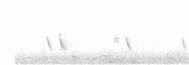 Büyük Mor Kırlangıç - ML32198051