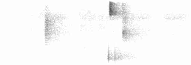 Colibri flavescent - ML322016821