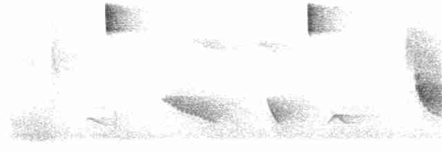 Colibri flavescent - ML322016831