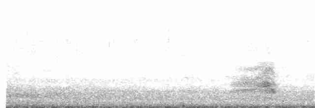 裏海燕鷗 - ML322034551