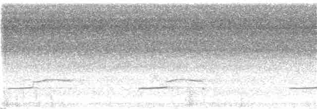 Канюк-крабоїд чорний (підвид anthracinus/utilensis) - ML32205811