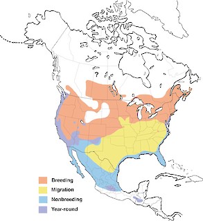 Figure 1. Distribution of the Virginia Rail in North America. - Range Map