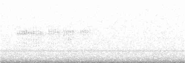Aquatic Warbler - ML322104221