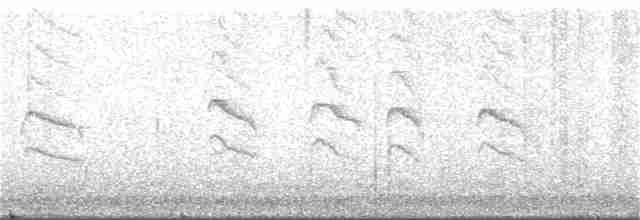 Кратеропа смугастоголова - ML322156861