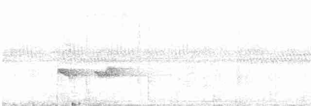 Rostbauch-Ameisenfänger - ML322172881