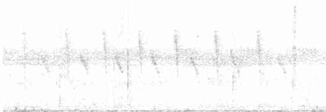Fleckenbrust-Ameisenvogel - ML322173411