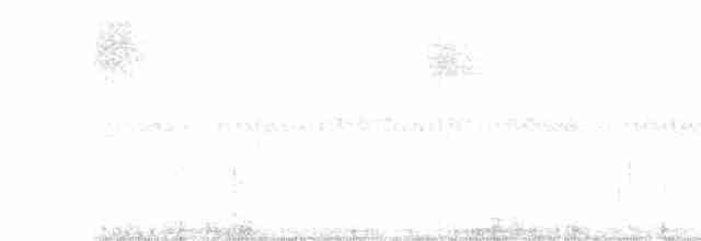 Saltator fuligineux - ML322173571