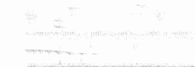 Ockerbürzel-Ameisenfänger - ML322174401