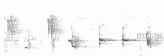 Cuitlacoche Ocelado - ML322207841