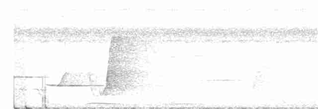 Siffleur mélanésien - ML322259561