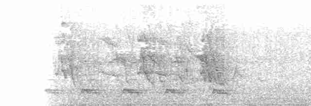 Желтобрюхий трогон - ML322324011
