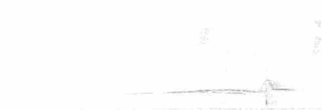 Тиран-плоскодзьоб рудохвостий - ML322339351