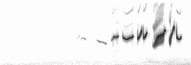 Plectrophane de Smith - ML32239701