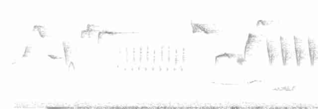 Eurasian Wren - ML322415181