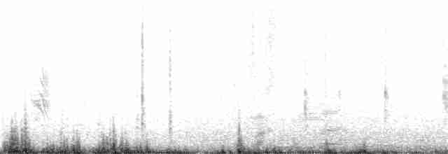 Saunders's Tern - ML322451881