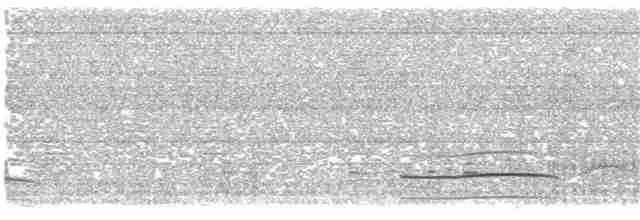 Great Grebe - ML322462761
