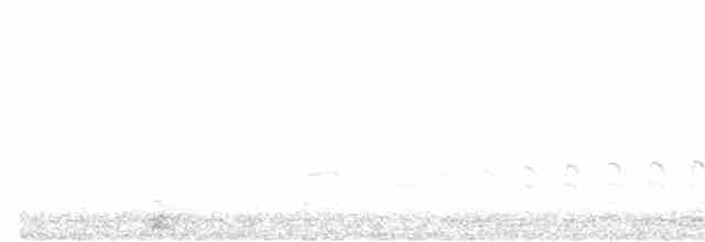Красноспинная агуйя - ML322493791