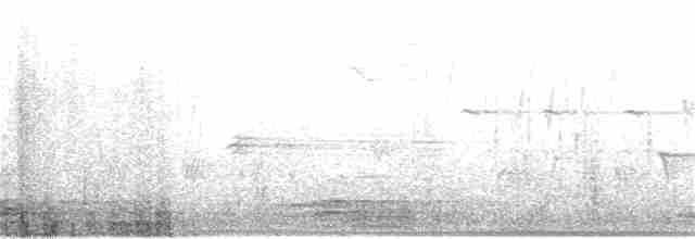 Common Merganser (North American) - ML322524091