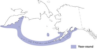 Figure 1. Distribution of the Red-faced Cormorant in Alaska and northeastern Russia. - Range Map