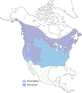 Figure 1. Distribution of the Red-breasted Nuthatch. - Range Map