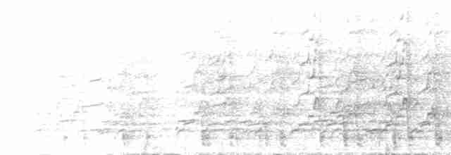Сероголовая чачалака - ML32259701