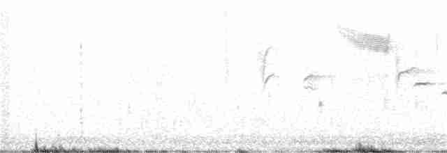 Длиннохвостый крапивник - ML322661441