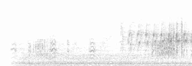 Белокрылая канделита - ML32271841
