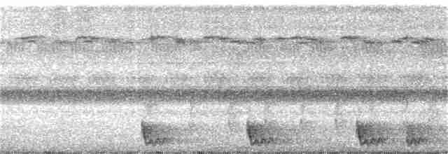 Large-tailed Nightjar - ML322720341