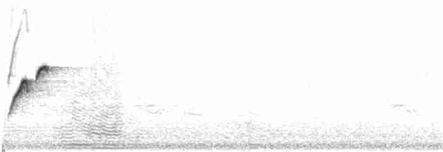Batı Amerika Sinekkapanı (occidentalis/hellmayri) - ML32273011