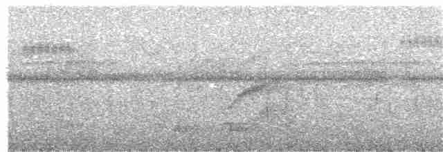 Zigzag Heron - ML322787401