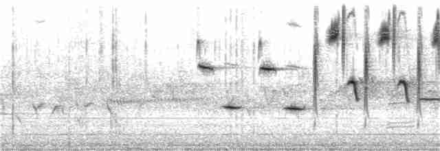 Song Sparrow (heermanni Group) - ML322819481