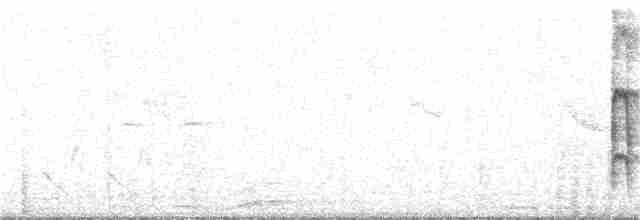 strakapoud hnědokřídlý - ML322856041