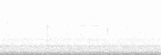 lesňáček černobílý - ML322878711