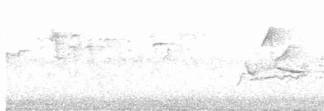 eremittskogtrost (guttatus gr.) - ML322930491